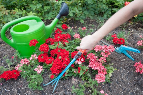 Spring garden care activities in Kensington with blooming plants.
