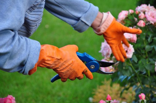 Eco-friendly garden clearance practices in Kensington