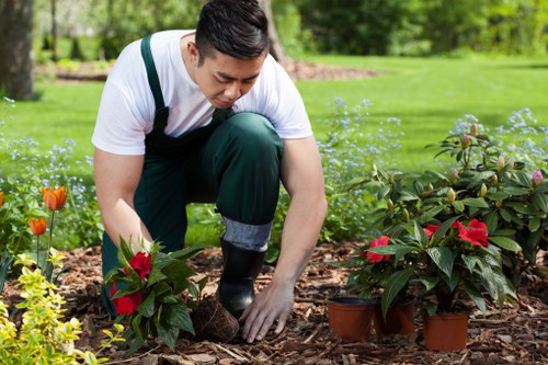 Illustration of a gardener and a cookie symbol representing Gardeners Kensington policy