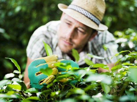 Lawn care professional using modern mowing equipment