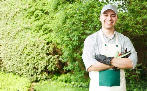 Garden clearance benefits in Kensington