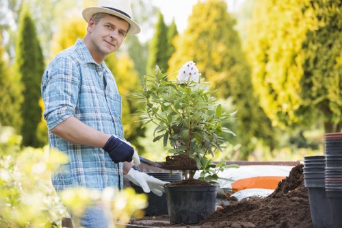 Sustainable gardening practices by Kensington garden experts