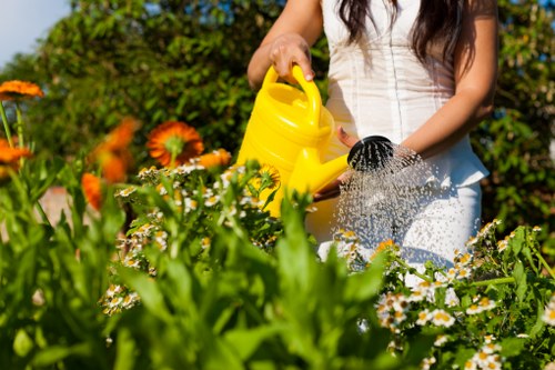 Key services offered by Kensington garden clearance