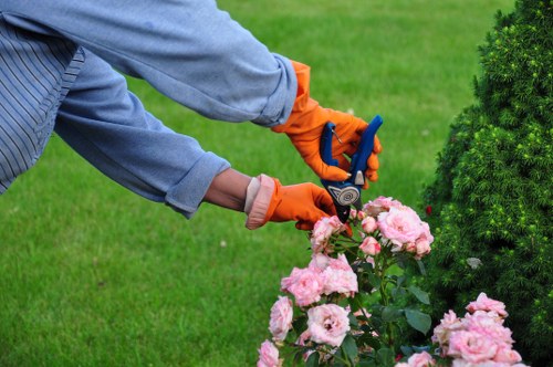 Essential gardening tools arranged neatly for garden maintenance.