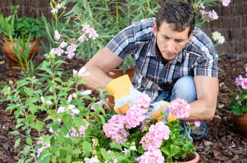 Lush landscaped garden by Gardeners Kensington
